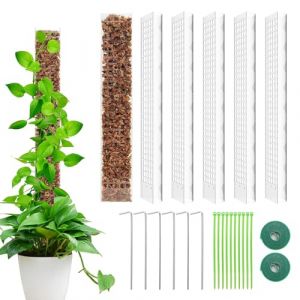 6 Pi&egrave;ces Tuteur Plante Grimpante, Tuteur Monstera Mousse Sphaigne Coco, 61 cm Support en Plastique pour Plantes Grimpantes en Pot, B&acirc;ton Extension Support de Plante d'int&eacute;rieur Maison Jardin (LangTek, neuf)