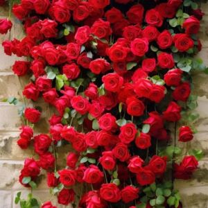 Lot de 1000 graines de rose grimpante de vigne, graines de rose grimpante pour la plantation en plein air clôtures de jardin, pergolas et treillis, vigne longue floraison (1000, rouge) (YangchunY, neuf)