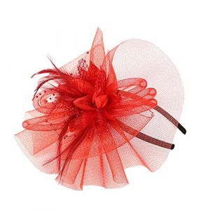 Y Pen Rubans Mesh Femmes Chapeau et Plumes Mode Mariage Bibi N Party Caps Petit Chapeau, Rouge, Taille unique (Mens Clothing Sale Clearance Uk, neuf)