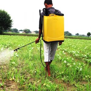Pulvérisateur à Dos à Pression avec Batterie Rechargeable,16 litres, travaux de pulvérisation, Jardin, fertilisation, Lutte Contre Les Mauvaises Herbes et Les nuisibles (B) (Hechheu, neuf)