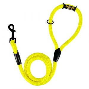 Laisse d'entraînement Classique pour Chien, Corde en Nylon, fabriquée en Espagne, pour Petits, Moyens et Grands Chiens. 120CM. Jaune. (AVANZONA, neuf)