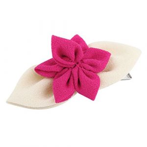 Ruilogod N&oelig;ud papillon en organza avec pince crocodile 45 x 7 x 10 mm (DWD-union, neuf)