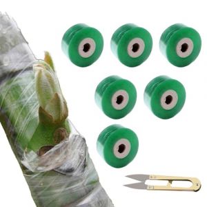 Rubans De Greffage,6 Rolle 3cm Greffage Ruban Transparent,Ruban Greffe Plante,Rubans de Greffage Auto Adhésif,Ruban de Réparation pour Plantes,Ruban Extensible De Greffe d'arbre,avec Ciseaux (Poseidoneye, neuf)