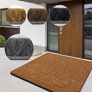 casa pura Paillasson d'entrée en Fibre de Coco Premium,Tapis de Porte antidérapant,Tapis d'entrée Usage intensif,Tapis pour entrée Absorbant,Dense Velours Résistant (17 mm-80x100 cm Nature) (Velvet Trading, neuf)