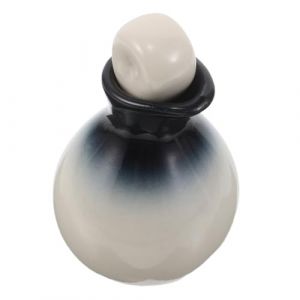 Healvian ensemble de bouteilles d'huile essentielle récipient verseur de sauce pot de condiment pot à condiments en porcelaine bouteille d'huile de voyage mini-diffuseur céramique blanche (Le Sengyu, neuf)