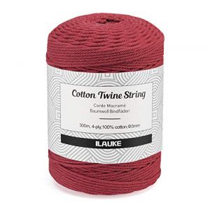 3mmx300m Corde en macramé,Naturelle Corde de Coton Tresse,Décorations Murales,Ficelle Corde Macramé,Fil Macramé,pour Tissage Attrapeur de Rêves Tentures Murales Cadeaux décoratifs de Bricolage,Rouge (YIJR Direct, neuf)