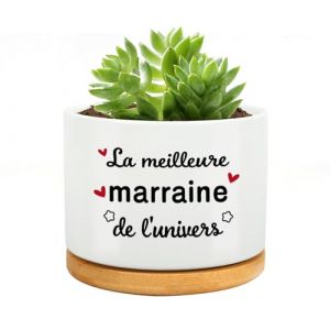 RRIGETEN Cadeau Marraine Pot De Fleur,Cadeau Parrain Marraine Bapteme,Cadeau pour Marraine,Cadeau Marraine Noel,Fete des Meres,Saint Valentin (Longhani, neuf)