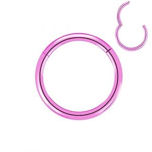 Artskin Anneaux de nez &agrave; charni&egrave;re en titane de grade 23 - 20 g 18 g 16 g - Diam&egrave;tre 6 mm - 10 mm - Noir/argent/or/or rose/rose, 16 Gauge 8mm, Titane (DIDATAI, neuf)