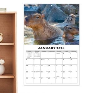 Calendrier mural 13 mois 2026-2027, motif Capybara, anti-d&eacute;grad&eacute; d'encre, calendrier 2026-2027, pour le mur, avec donn&eacute;es juliennes, pour la maison, les &eacute;coles, les bureaux, les salles de classe et (gintzita, neuf)
