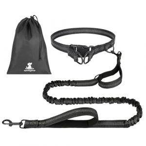 OFFCUP Main Libre Chien, &Eacute;lastique Laisse Canicross, Ceinture Canicross pour Chiens avec Couture R&eacute;fl&eacute;chissante, avec Sac de Rangement Id&eacute;al pour Course &agrave; Pied, Jogging et Marche (Noir) (HOOCHE, neuf)