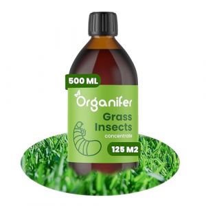 Concentré Jardin Pour Gazon Et Sol - 500 Millilitres - 500 M2 - Catégorie Vers Blancs Et Nématodes - Produit Naturel À Diluer Pour Pelouse Et Jardin - Organifer (Wilpe Store, neuf)