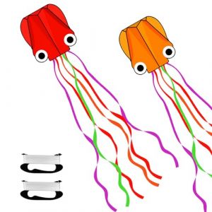 flintronic 2 Pcs Cerfs-Volants, Grand Cerf Volant Enfant, 65x65cm, Pieuvre Cerf Volant avec Cordon de 100 Mètres, Cerfs-Volants Colorés à Longue Queue de Facile à Voler, pour Les Plages et Les Parcs (flintronic®-eu, neuf)