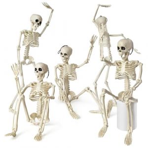 EVOTECH SCIENTIFIC Mod&egrave;le de mini squelette humain pour l'anatomie, set de 5 squelettes pour d&eacute;coration d'Halloween (HongAnn, neuf)