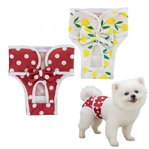 EJRUP 2pcs Culotte pour Petit Chien, Couche Chien Femelle, Culotte Chiennes Chaleurs, Culotte Menstruelle Chienne, pour P&eacute;riodes Physiologiques, de Chaleurs (Anilalowbility, neuf)
