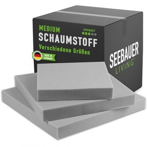 SEEBAUER Living Matelas de Mousse Medium RG 35/40 (Semi Ferme) Coussin de Chaise et Canapé (50 x 50 x 12 cm) (SEEBAUER diy®, neuf)