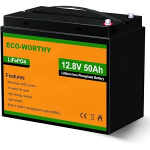 ECO-WORTHY Batterie Lithium 12V 50 AH LiFePO4 avec Protection BMS et 3000 Cycles, Batterie Lithium Camping-Car, kit Panneau Solaire, Camping, Installation Solaire, Bateau, Maison (Lvxingxia, neuf)