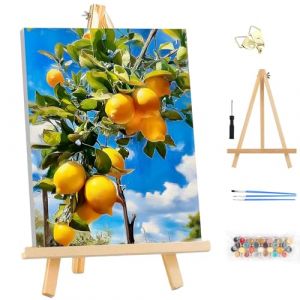 MEIYUDA Peinture par Numero Adulte avec Cadre, Citron Paysage Kit de Peinture &agrave; l'Huile sur Toile par Num&eacute;ro, Decoration Maison Cadeau 25x35cm (JINBEIKANG, neuf)