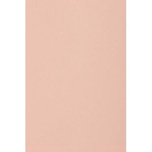 Netuno 20x carton rose clair 250g papier décoratif A4 210x297mm Burano Rosa idéal pour cartes de voeux scrapbooking bricolage invitations art et artisanat anniversaire DIY loisirs créatifs (netuno, neuf)