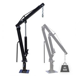 WilTec Grue de Levage pour Pick up ou Remorque – Charge Max. 500 kg – avec Tête pivotante à 360° et Socle Massif pour Ancrage au Sol – Chèvre Monte Charge Chargement et déchargement (Wiltec Wildanger Technik GmbH, neuf)