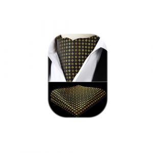 HISDERN Ascot Homme et Pochette Ensemble Pois Ascot Homme Noir Élégant Foulard Homme Soie Mouchoir Cravate Ascot pour Formelle Mariage (hisdern, neuf)