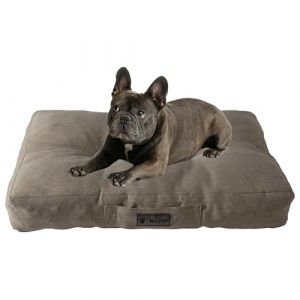 MaxCor Coussin Chien Rectangulaire à Mémoire de Forme Orthopédique - Moyen Beige - Imperméable et Relaxant - Soulage et Préserve Les Articulations - Ne se Déforme Pas et Lavable en Machine (MaxCor, neuf)