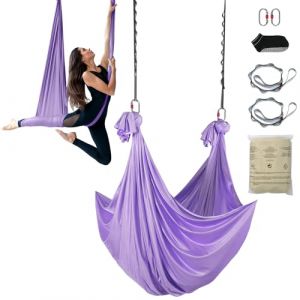VEVOR Hamac de Yoga A&eacute;rien 4x2,8 m Kit Balan&ccedil;oire de Yoga Inversion Danse A&eacute;rienne en Nylon 100 g/m&sup2; Charge 1000 kg Vol Anti-gravit&eacute; d'air pour Fitness Musculation Pilates Gym Maison Studio Violet (VEVOR Direct Store FR, neuf)