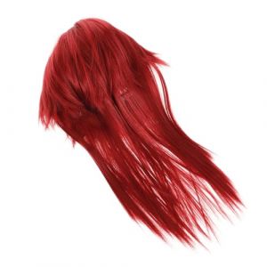 Ipetboom Perruque Mulet Longue Pour Homme Cosplay Fête Costume Anime Décoration Perruque Mulet (hikarish, neuf)