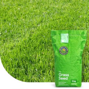 Turbo Green: Semence Gazon Regarnissage | 2 kg - 100 m² | Germination rapide | Gazon dense et bien vert | Grande tolérance au piétinement (MRS Seeds & Mixtures, neuf)