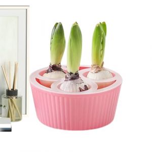 Generisch Pots de plantes hydroponiques d'int&eacute;rieur - Bac de plantation &agrave; 3 trous, pot de jardin &agrave; bulbes de jonquilles | Appartement Bureau D&eacute;butant Int&eacute;rieur Rebord de fen&ecirc;tre Cuisine Chambre &agrave; (manyuao, neuf)