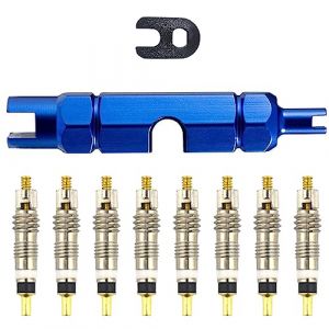 ASYKNM 10 Pi&egrave;ces Presta Valve Cores Obus Valve Presta, Demonte Obus Valve,Obus Valve Presta,Adaptateur Valve Presta,Demonte Valve Presta,pour Pneus de V&eacute;lo (REN JIE DE DIAN, neuf)