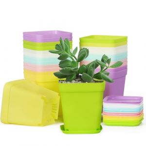 GEBETTER 24Pcs 7cm Pot Semis Plastique Godet Repiquage R&eacute;utilisable 6 Couleurs pour Plantation Int&eacute;rieure Ext&eacute;rieure avec Plateau (guyunhong, neuf)