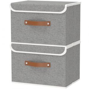 OUTBROS Boîte de Rangement, 45 x 30 x 30 cm Paniers de Rangement Pliables avec Couvercles et Poignées, Boîte Range pour Vêtement, Magazine pour, Chambre à Coucher (2 pièces, Gris) (OUTBROS-FR, neuf)