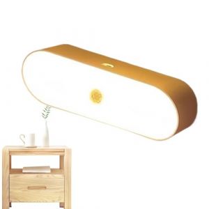 G&eacute;n&eacute;rique Lumi&egrave;re d'Int&eacute;rieur &agrave; D&eacute;tecteur de Mouvement - Lumi&egrave;re Intelligente avec Capteur de Pr&eacute;sence,&Eacute;clairage D&eacute;coratif Portable pour Chambre, Escalier, Cuisine et Couloir - Sans Fil (yuqili, neuf)