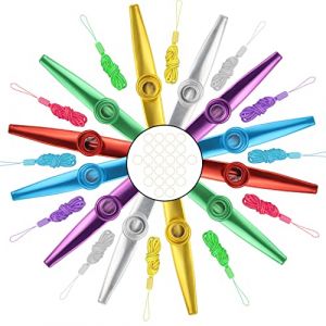 CHRI Kazoo M&eacute;tal 12 Pi&egrave;ces Kazoo Enfant avec 24 Membranes de Fl&ucirc;te, Bon Compagnon pour Guitare Ukul&eacute;l&eacute; Violon et Clavier, Enfants Cadeau Accompagnement Instrumental (CHRICY, neuf)