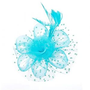 SLXLYH Bandeau à plumes pour femme - Chapeau en maille - Accessoires de mariage - Bandeau à plumes - Chapeau de fête (bleu lac) (anbeidianzi, neuf)