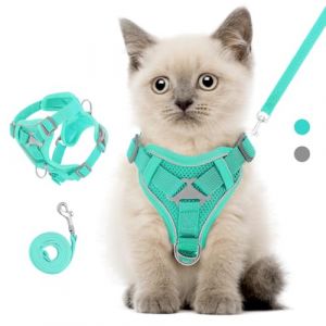 VavoPaw Ensemble Harnais et Laisse pour Chat Anti-évasion, Harnais Ajustable pour Chaton avec Bande Réfléchissante, Filet Respirant, Gilet de Sécurité Souple pour Chat, Chaton, Chiot, S, Bleu (SiuMed EU, neuf)
