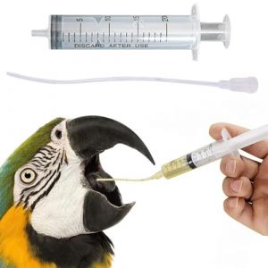 10 PCS B&eacute;b&eacute; Oiseau D' Alimentation Tortue, Dont 1 Seringue de 10 ML, B&eacute;b&eacute; Oiseau Liquide M&eacute;decine Chargeur Tuyaux Tube, Seringue pour Alimentation de Tortue, Convient aux Perruches, Hamsters (CELTIC MANUFACTURING, neuf)