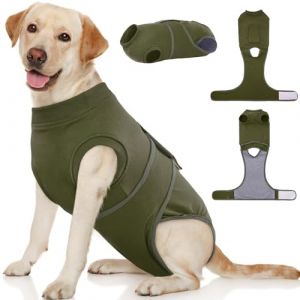 Kuoser Combinaison de r&eacute;cup&eacute;ration pour chien, body post-chirurgical pour chiennes femelles, vert, XL, coton/spandex (Kuoser_Official, neuf)