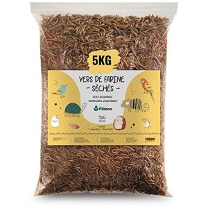 vers de Farine Séchés | 5kg | Insectes Comestibles vers de Farine pour Oiseaux du Ciel Insectes séchés Nourriture Oiseaux Exterieur (Stock Flash, neuf)