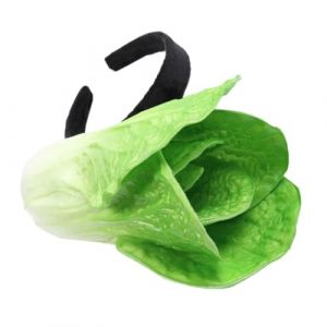 NIYANGLE Bandeau chou chinois bandeau de chou mignon bande de cheveux adultes hair charms hair toppers bandeaux uniques Bandeaux de lavage du visage Bandeau adulte le fer Green (Telinei, neuf)