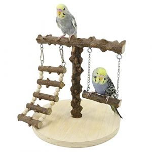 WishesMar Aire de Jeux pour Oiseaux Terrain de Jeu pour Perroquet avec Support Perchoirs Balançoire Échelle pour Calopsitte Cockatiel, Bois, Taille 22x22x21.5 CM (Nicemeet999, neuf)