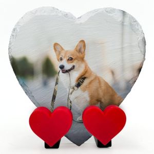 Plaque Commémorative Personnalisée en Forme De Coeur Avec Texte Photo Et Nom Avec Coeur Sur Un Présentoir Pour Chat, Chien Et Pierre Tombale en Ardoise | Pleine Impression | Taille 10x10 cm (EMIT Print, neuf)