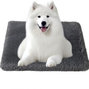 Bizcasa Panier Chien Grande Taille, 120x80x8cm, Tapis Chien, Rembourrage Moelleux, Lit pour Animaux, Coussin Lavable, Tissu Peluche Doux, Base antidérapante, Gris Foncé (Kidtvan XP Kft., neuf)