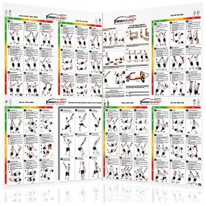 Variosling® Poster avec 54 Exercices pour Un entraînement Fonctionnel avec Les Sangles de Suspension/Sling-Trainer | Instruction de la Musculation bipartite, Grande (Variosports, neuf)