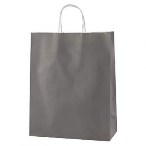 Thepaperbagstore 10 sacs en papier Gris avec poignées – Sacs cadeaux en papier colorés – Sacs de transport en papier pour le shopping, les fêtes, les anniversaires et les mariages 25x11x31cm (Thepaperbagstore, neuf)