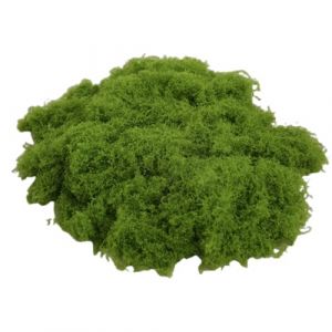 50g Mousse, Feuilles de Mousse Réutilisables, 30 x 60cm Mousse Artificielle, Mousse Préservée pour Décoration de Jardin, Pour décoration de Pâques DIY Noël Floristique Terrarium (CAI LONGCANG DE DIAN, neuf)