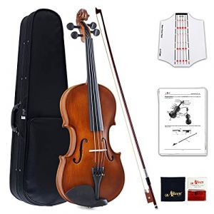 Aileen Violon 4/4 Débutant, Violon Adulte avec Autocollant des Frets, Mode d’emploi, Étui, Archet, Colophane, Chevalet et Tissu de Nettoyage (AILEEN Music, neuf)