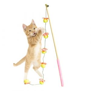 G&eacute;n&eacute;rique Canne &Agrave; Chat | B&acirc;ton De Jeu Interactif Autonome Design Fruit | Jouet &Agrave; Canne pour Chat | pour Le Jeu des Chatons en Int&eacute;rieur, avec Oiseaux, Poissons, Souris pour Lutter Contre l'Ennui (XingTaiShiFengXiuShangMaoYouXianGongSi, neuf)