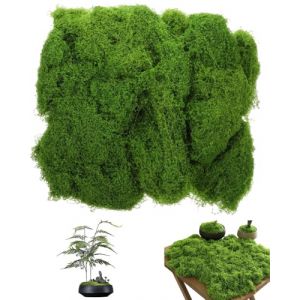 TPZORJX 100 g mousse artificielle pour décorer, mousse pour bricolage,décoration de mousse, mousse d'Islande, gazon artificiel pour bricolage, plante artificielle, plantes artificielles pour pots (Sunlaxy OU, neuf)