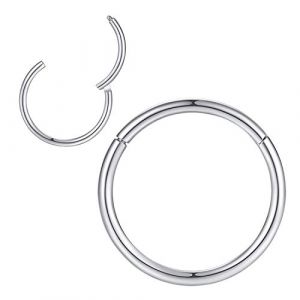 Anneaux de nez pour homme et femme - 5 mm - Calibre 16 - Anneau de nez en argent - Anneau &agrave; charni&egrave;re en acier chirurgical 316L - Pour cartilage, h&eacute;lix, lobe, daith, rak, conque, tragus (LoveBodyJewelry, neuf)